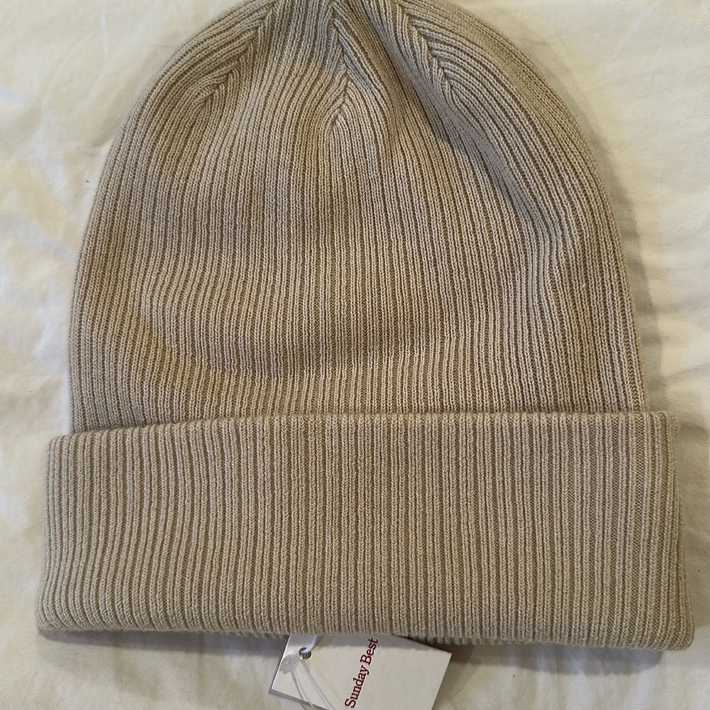 Aritzia Sunday best hat